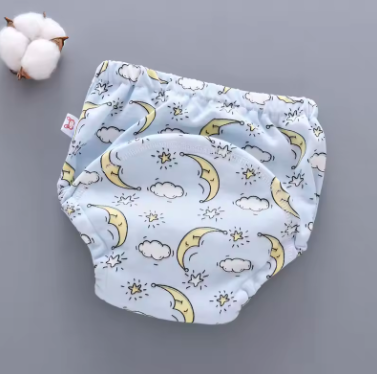 Potty Training Underwear