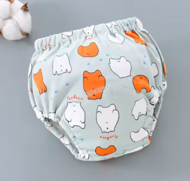 Potty Training Underwear